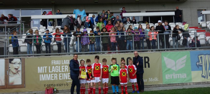 Ausgezeichneter 3. Platz beim Sumsi Erima Kids Cup Regionalturnier